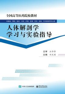 山东沿海旅游最佳路线