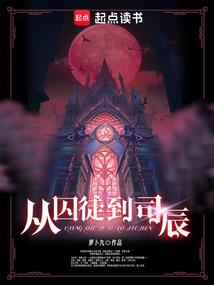 花鸟岛有哪里好玩