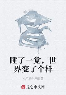 轮椅适合上海旅游吗