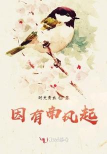 南充旅游公司联系电话