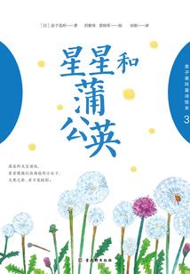 旅游美国10天