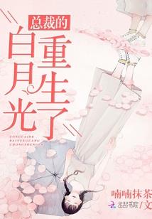 酒店旅游团入住拍摄