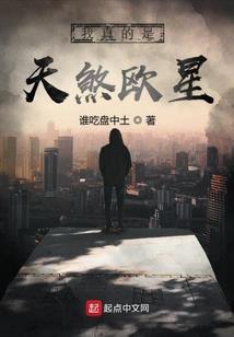 乐东环岛旅游公路项目
