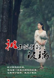 新疆旅游价格对比表最新