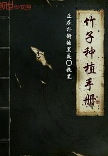 德化旅游攻略路线