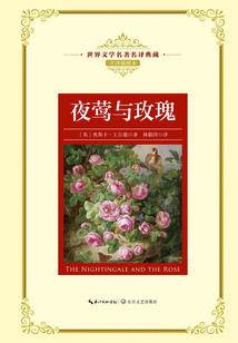 大连日均旅游人次多少