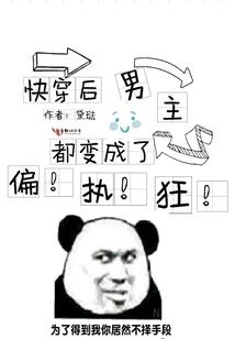 std值得去吗