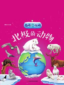 京韵旅游公司成立几年了