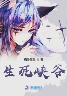 林肯车适合旅游吗