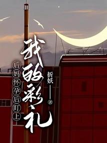 广州长隆 自驾 攻略