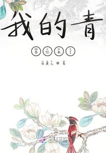 有甲乙两旅游团