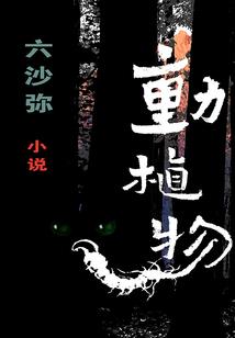 冬天旅游去哪里省钱