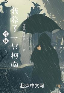 淄博西安哪个更适合旅游