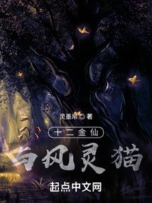 天台旅游景点宣传