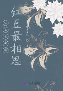 大鹏旅游区死人