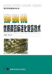 不错的度假村旅游