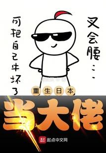 hague旅游攻略