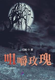 昆明旅游团的路线