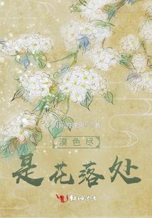 北辰旅游攻略视频