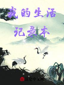寨坝旅游度假房出租价格