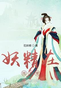 新疆旅游价格离谱新闻
