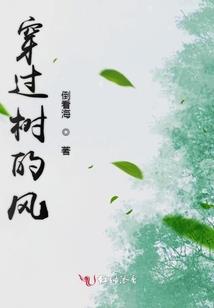 澳洲旅游签证600速度