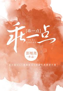 云南景洪56天旅游