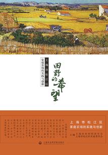 旅游度假民宿推荐官
