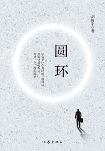 丽江旅游炮