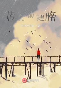 谢大脚旅游团