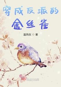 宁津地图旅游必备app