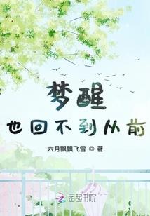 乡村旅游项目概述总结