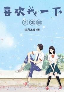 新西兰北岛自驾游游