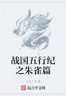6天旅游旅行书包