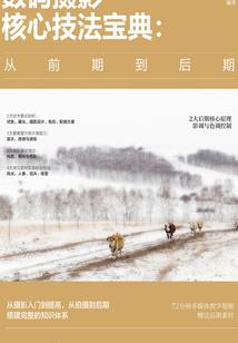 旅游项目规模划分表怎么写