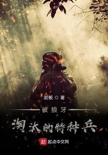 旧金山包车旅游