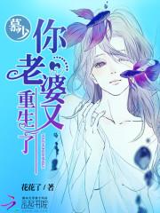 苏州小岛自驾