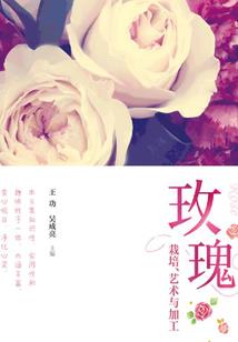 介休春节值得去吗