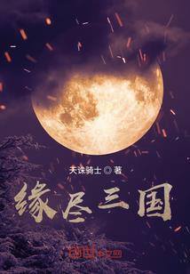 工作签证旅游可以用吗
