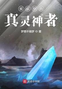 旅游公司面临的技术风险