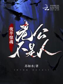泉州霞浦旅游团价格查询