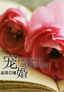 宝鸡南站喷泉演出门票