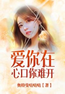 芈月旅游度假村航拍全景