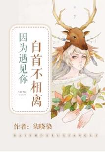潼关旅游开发项目