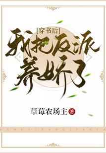 去美国芝加哥旅游多少钱