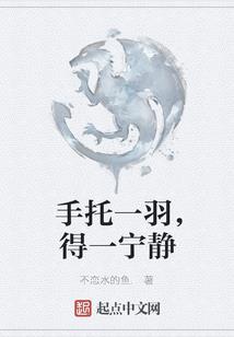 天心谷旅游区事故